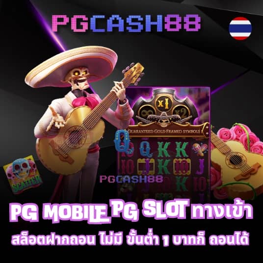 cat888 win