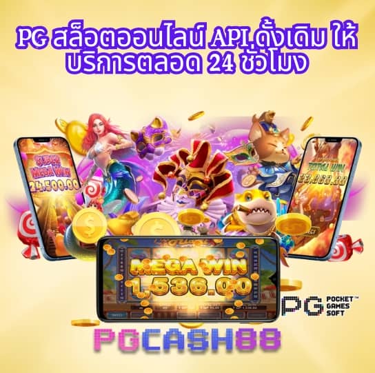 cat888 win